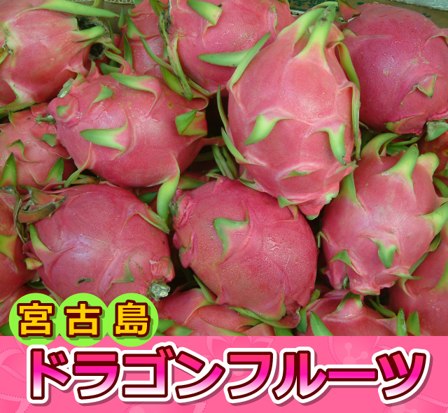 沖縄県産 完熟ドラゴンフルーツ