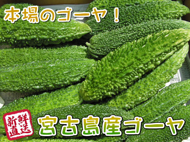 ゴーヤ 約3kg 沖縄 宮古島産画像1